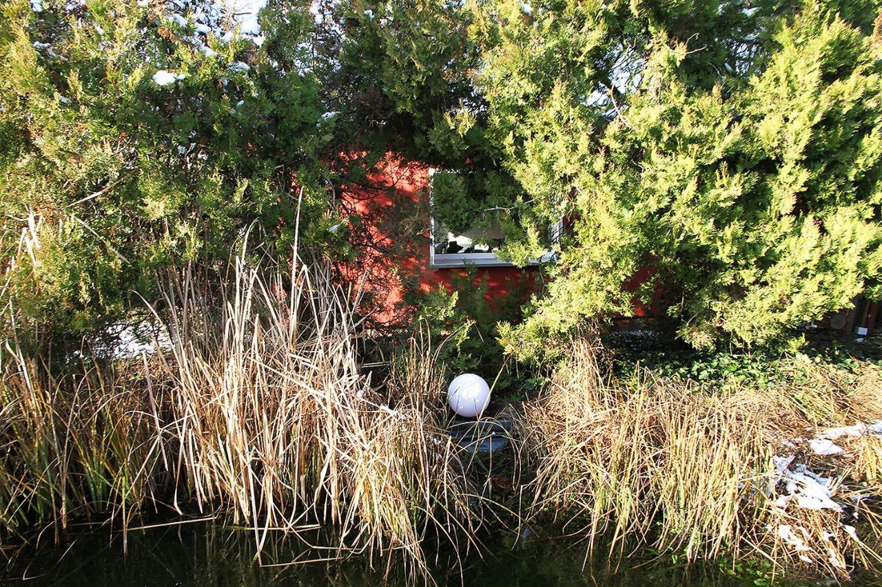 Haus Mit Kunst Zwischen Wald Und See Leipzig Luaran gambar